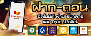 NAZA456เข้าสู่ระบบ 